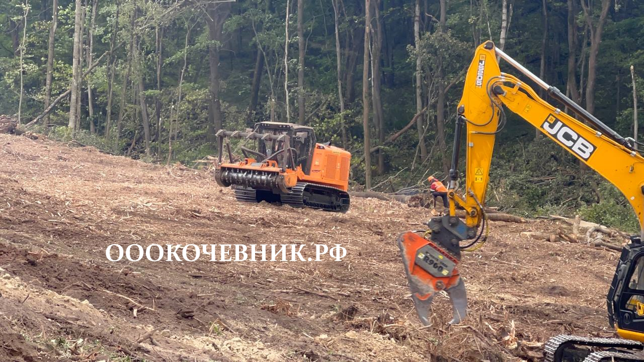 Расчистка территорий от деревьев, кустарников и корней